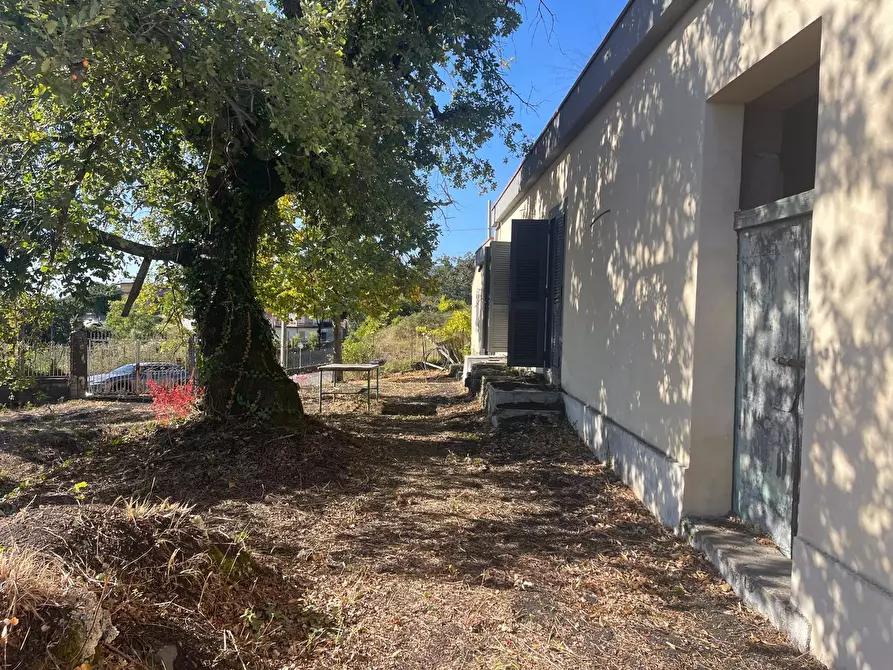 Immagine 30 di Villa in vendita  a Zafferana Etnea