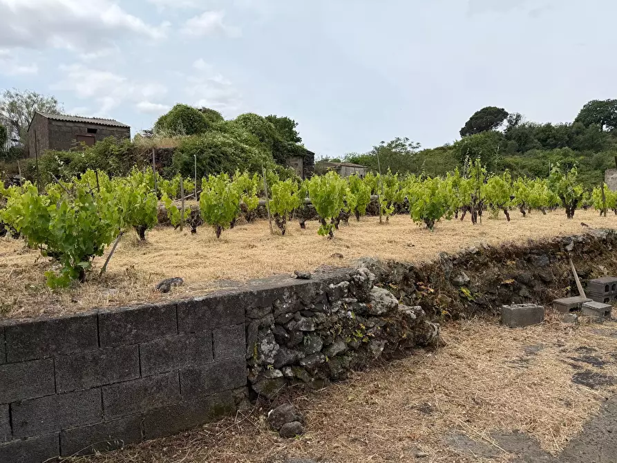 Immagine 5 di Terreno agricolo in vendita  a Tremestieri Etneo