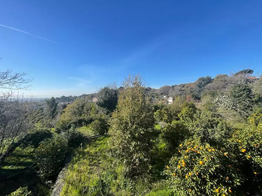 Immagine 20 di Terreno industriale in vendita  a Trecastagni