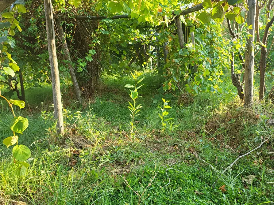 Immagine 98 di Casa indipendente in vendita  in Via Giotto 22 a Acri