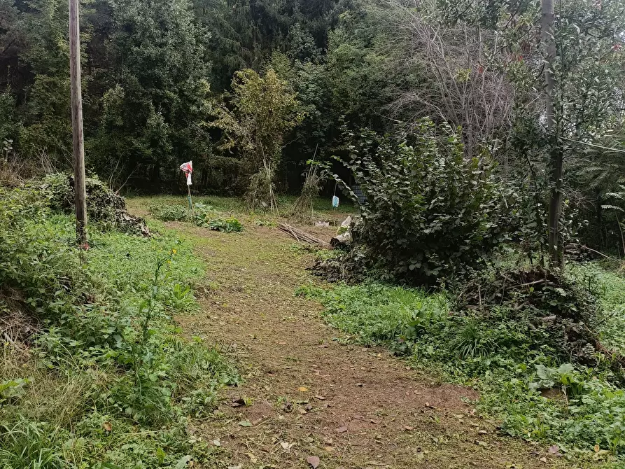 Immagine 32 di Casa indipendente in vendita  in Via Calcinara di Torbi 19 a Ceranesi