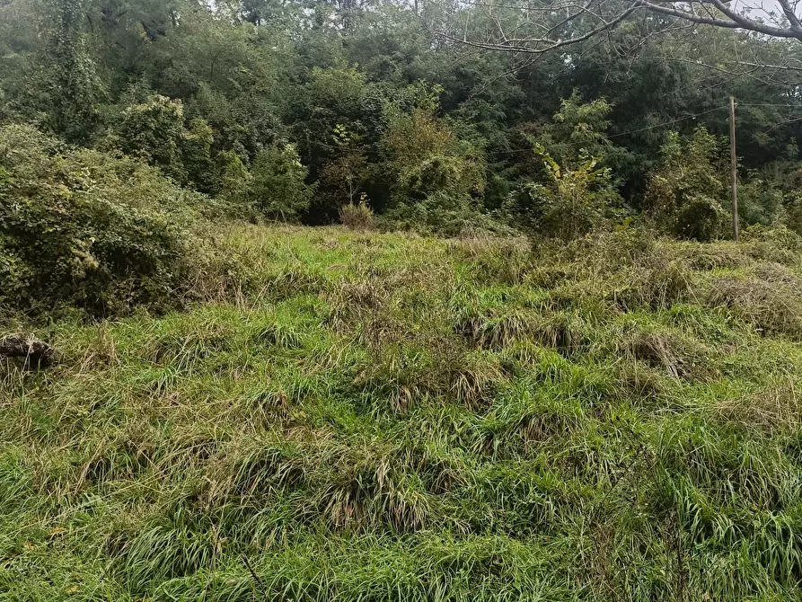 Immagine 27 di Casa indipendente in vendita  in Via Calcinara di Torbi 19 a Ceranesi