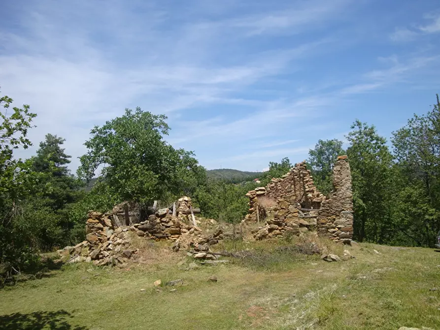 Immagine 8 di Terreno edificabile in vendita  in loc. Palo - Patare 1 a Sassello