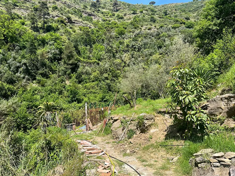 Immagine 15 di Casa semindipendente in vendita  in Via Molinetti di Nervi 32 a Genova