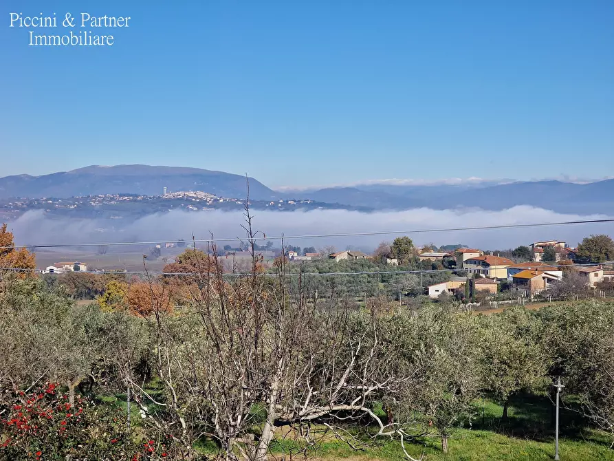 Immagine 33 di Rustico / casale in vendita  in Località San Lorenzo a Castel Ritaldi