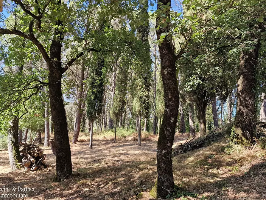 Immagine 53 di Rustico / casale in vendita  in Ex S. Maria a Umbertide