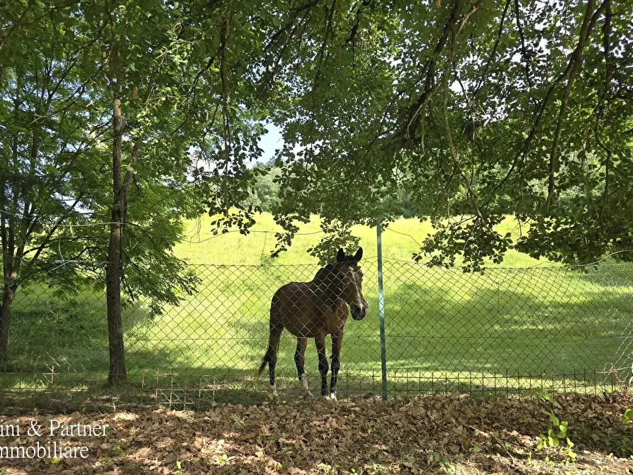 Immagine 93 di Rustico / casale in vendita  in Strada Ponte Resina - Monte Acutello 1 a Perugia