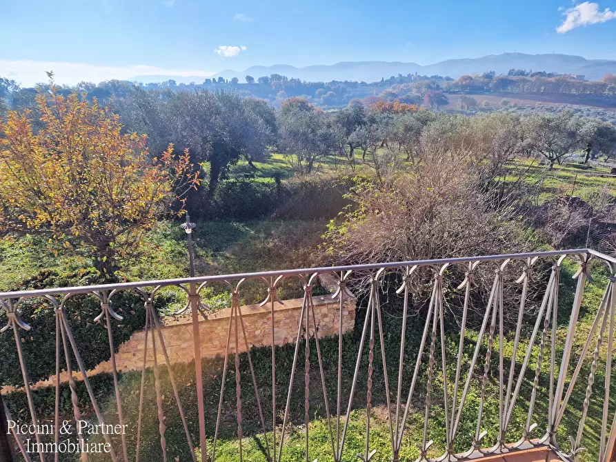 Immagine 47 di Agriturismo in vendita  in Località San Lorenzo a Castel Ritaldi