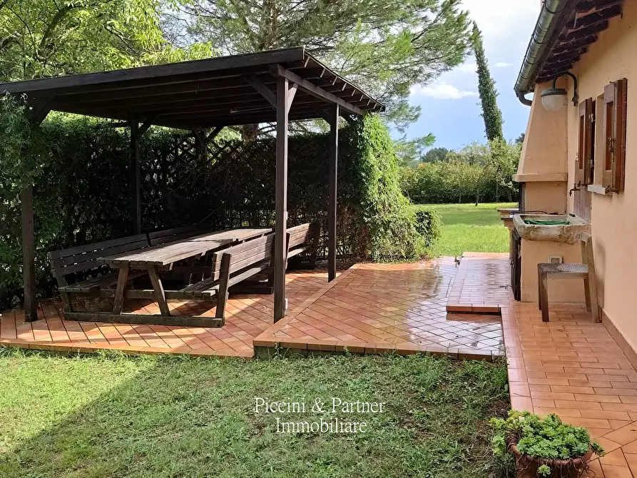 Immagine 6 di Azienda agricola in vendita  in Via Soccorso a Castiglione Del Lago