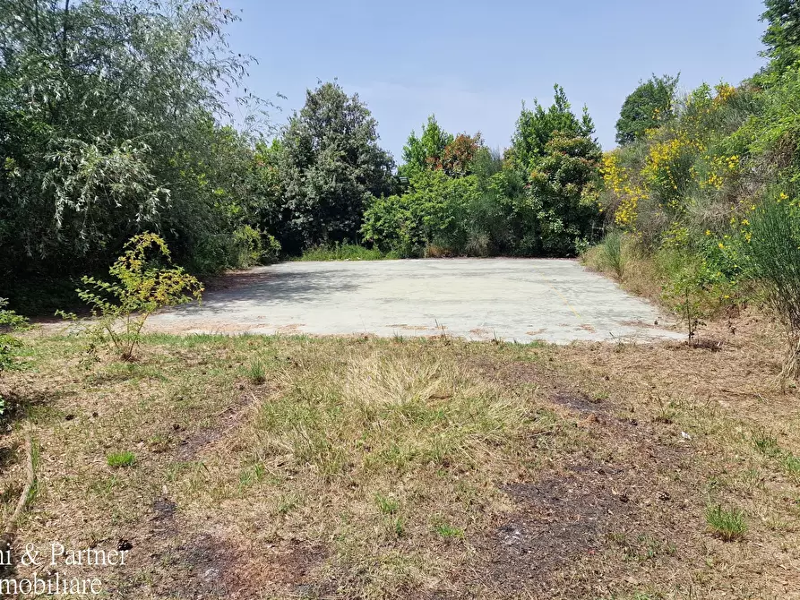 Immagine 80 di Baita in vendita  in Via dei Cespugli 10 a Passignano Sul Trasimeno