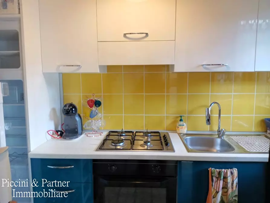 Immagine 21 di Quadrilocale in vendita  in Via Magliano 15 a Massa