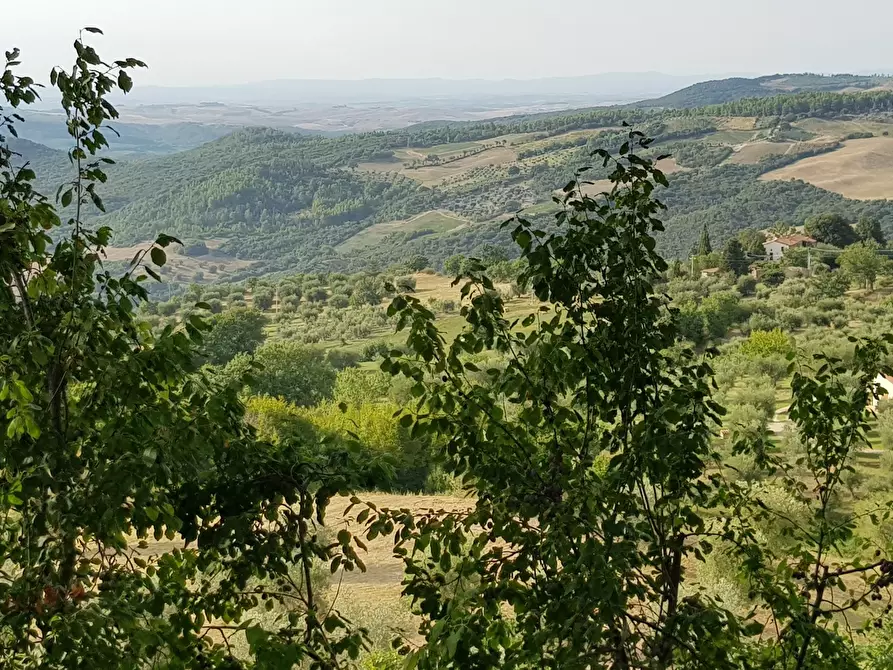 Immagine 33 di Porzione di casa in vendita  in Località Poggio Rosa 15 a Castiglione D'orcia