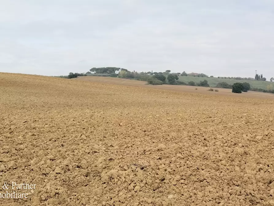 Immagine 5 di Terreno agricolo in vendita  in Via Soccorso 63 a Cortona