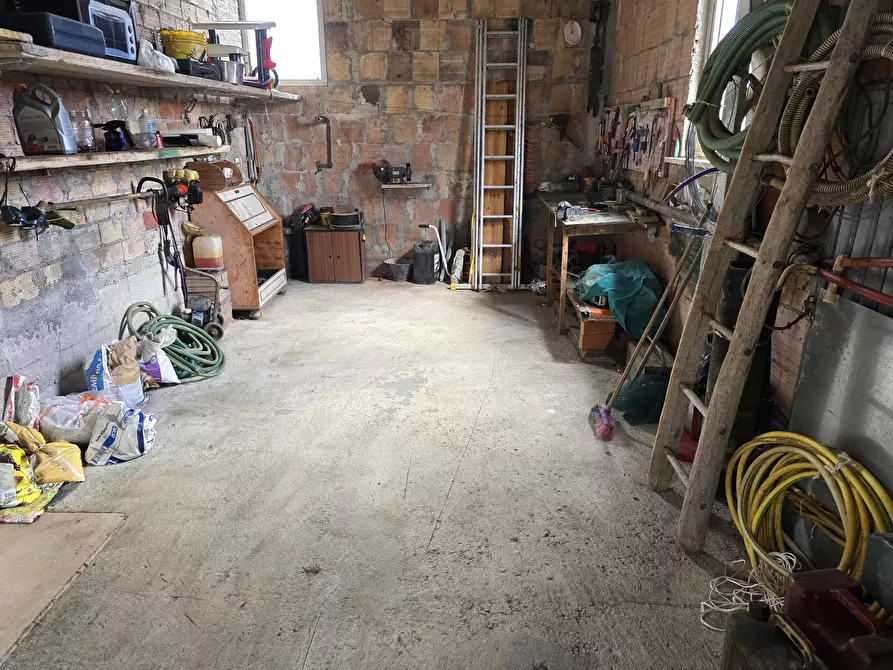 Immagine 21 di Terreno agricolo in vendita  in Località Colonnata a Gubbio