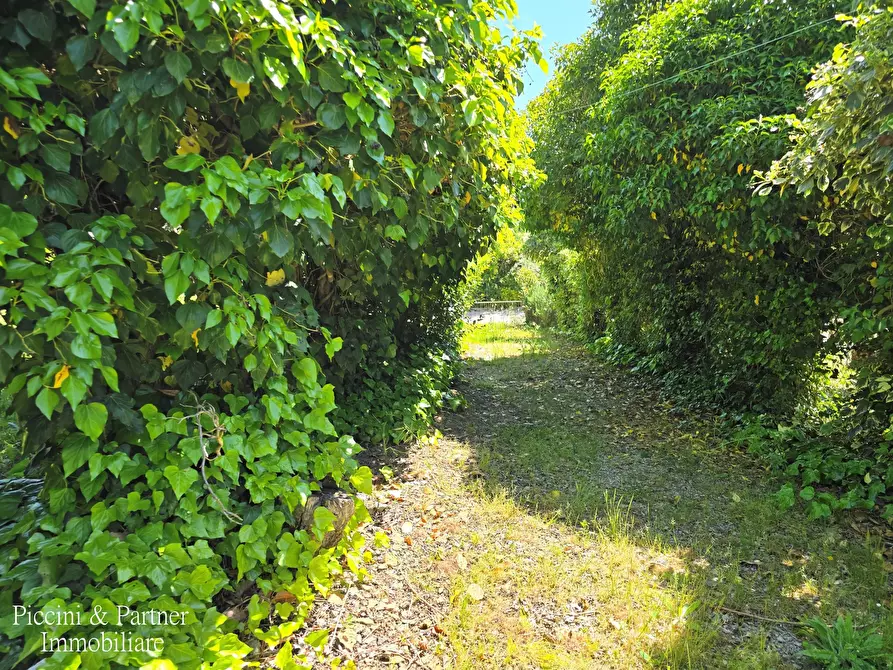 Immagine 84 di Casa bifamiliare in vendita  in Via dello Sport a Marsciano