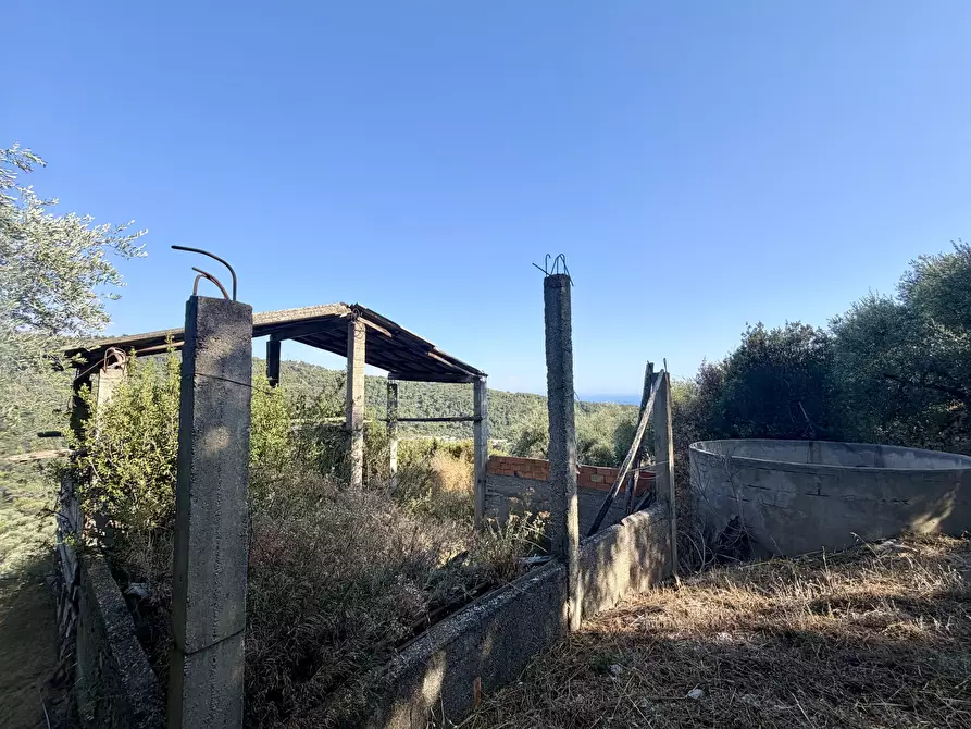 Immagine 1 di Terreno agricolo in vendita  in Via Chiappa 100 a San Bartolomeo Al Mare