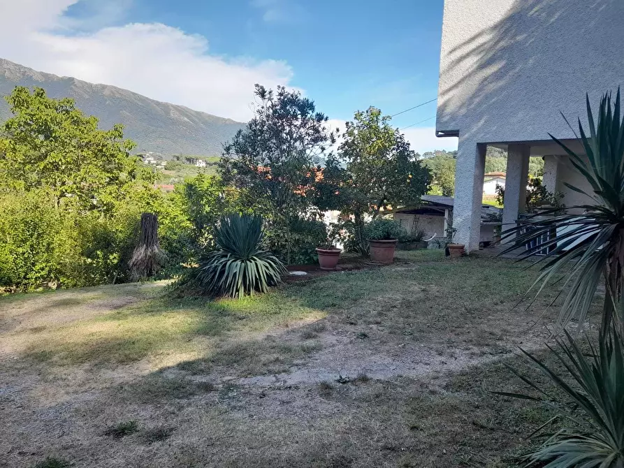 Immagine 63 di Rustico / casale in vendita  a Camaiore