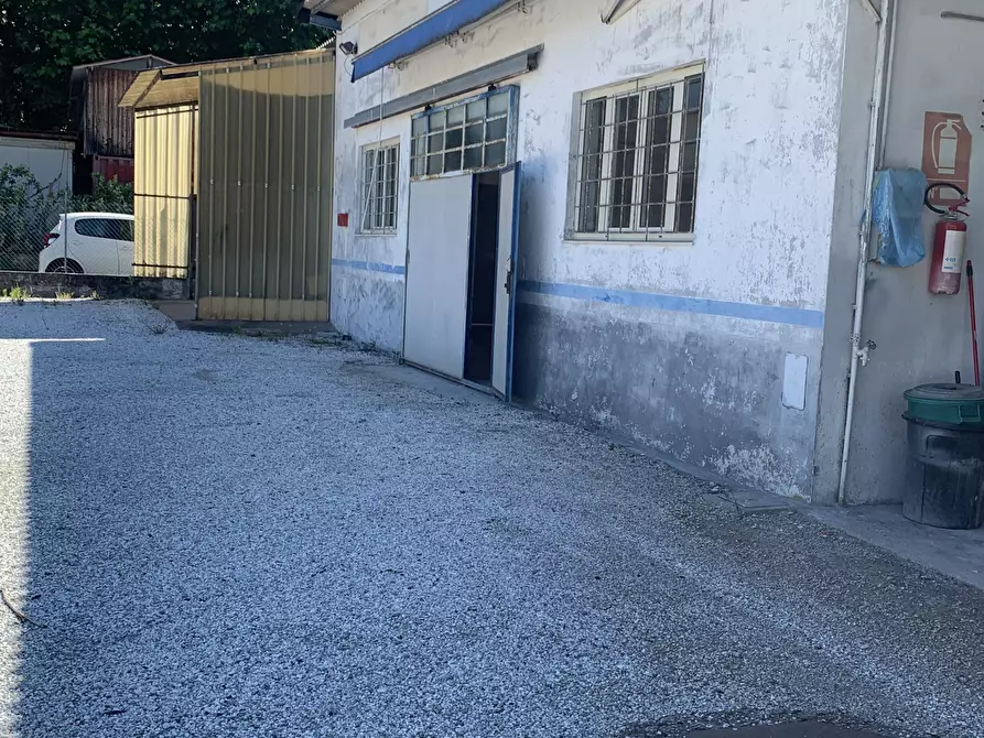 Immagine 21 di Attività artigianale in affitto  a Pietrasanta