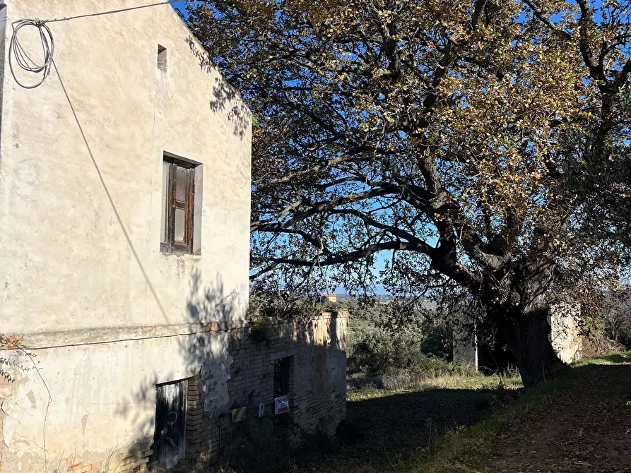 Immagine 25 di Casa indipendente in vendita  in contrada ranco 55 a Paglieta