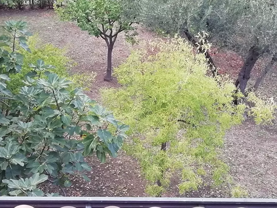 Immagine 2 di Villa in vendita  in Via Francesco Masciangelo a Lanciano