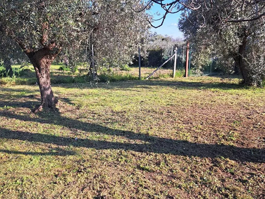 Immagine 43 di Villa in vendita  in Contrada Torre Sansone 69 a Lanciano
