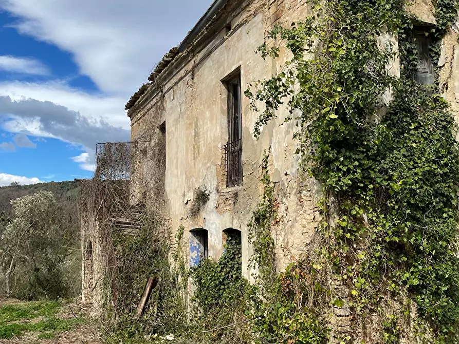 Immagine 6 di Rustico / casale in vendita  in C.DA CASTELLANA a Treglio