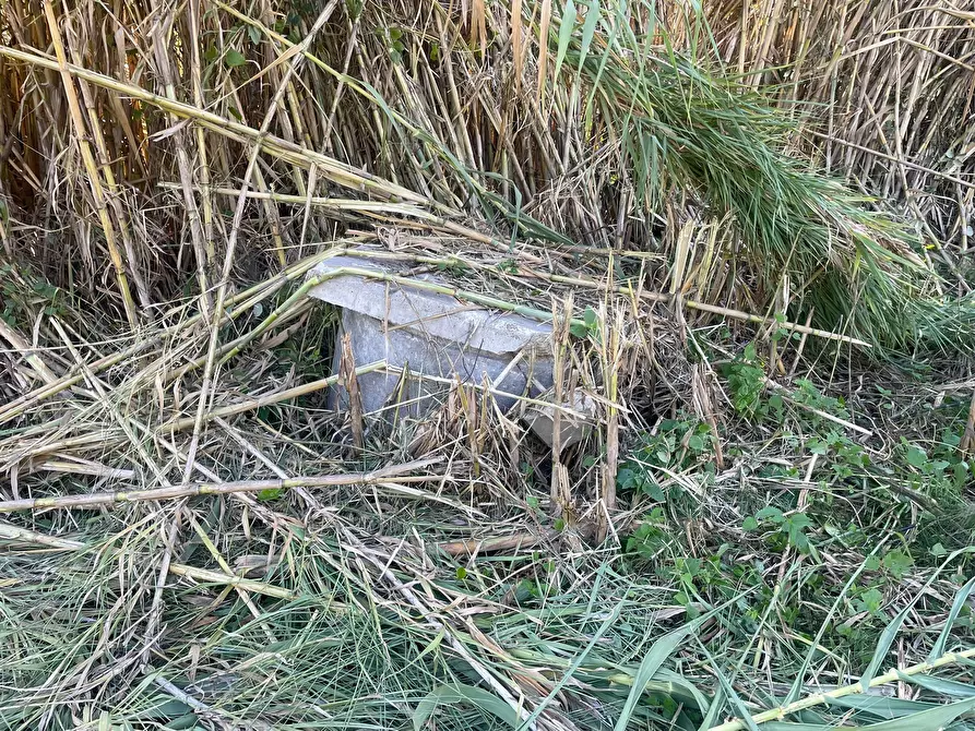 Immagine 12 di Casa indipendente in vendita  in contrada ranco 55 a Paglieta