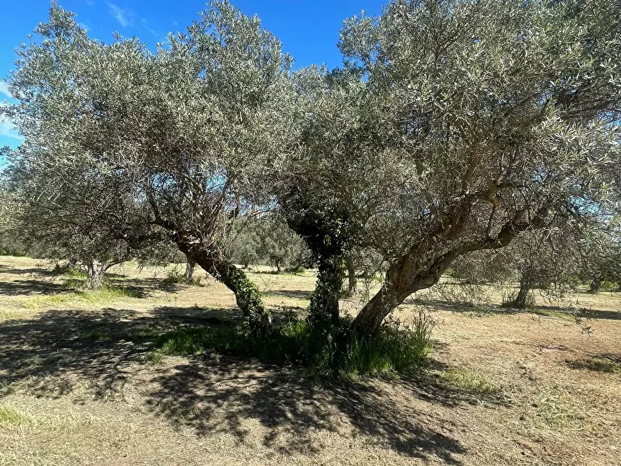 Immagine 17 di Casa indipendente in vendita  in contrada ranco 55 a Paglieta