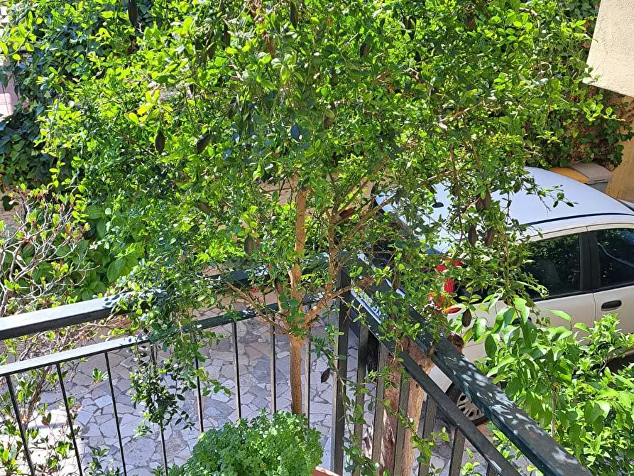 Immagine 11 di Villa in vendita  a Lanciano