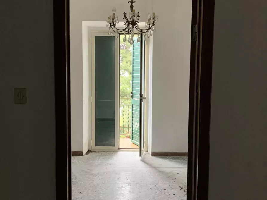 Immagine 33 di Rustico / casale in vendita  a Altino