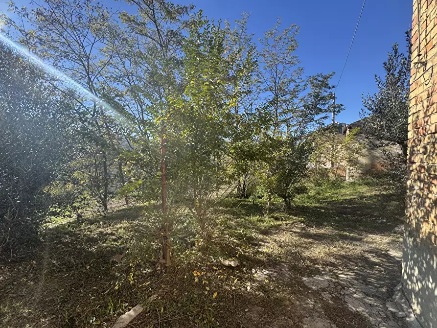 Immagine 51 di Rustico / casale in vendita  a Atessa