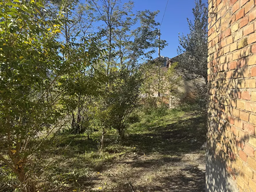Immagine 50 di Rustico / casale in vendita  a Atessa
