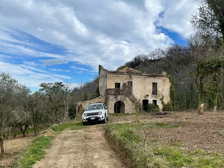 Immagine 7 di Rustico / casale in vendita  in C.DA CASTELLANA a Treglio