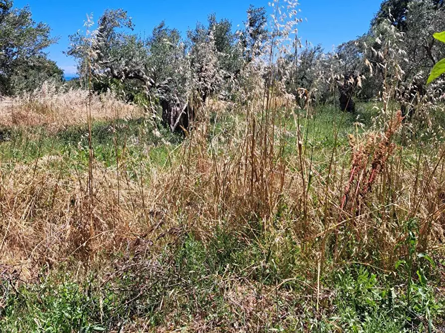 Immagine 15 di Rustico / casale in vendita  in STRADA P. MEDIANA 51 a Fossacesia