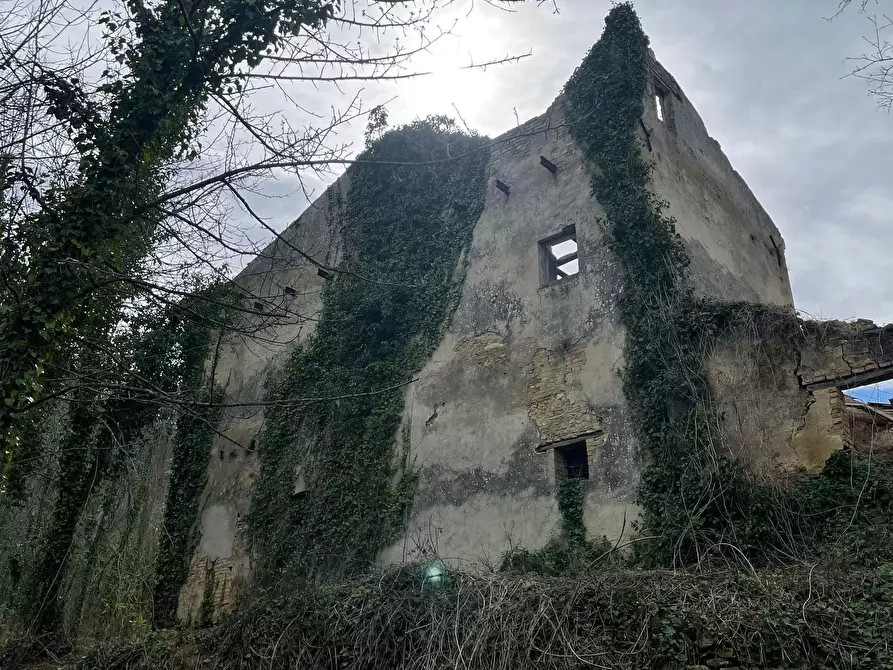 Immagine 55 di Rustico / casale in vendita  in C.DA CASTELLANA a Treglio