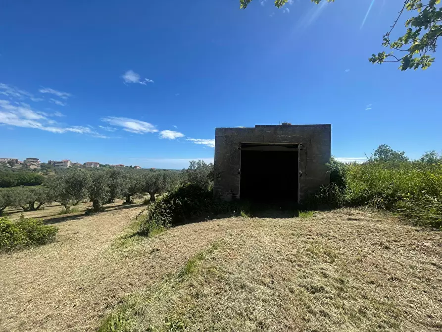 Immagine 9 di Casa indipendente in vendita  in contrada ranco 55 a Paglieta