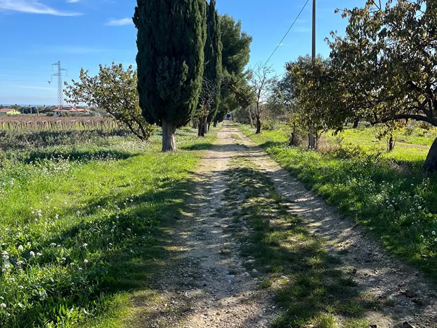 Immagine 6 di Rustico / casale in vendita  in C.DA SAN GIACOMO 39 a Rocca San Giovanni