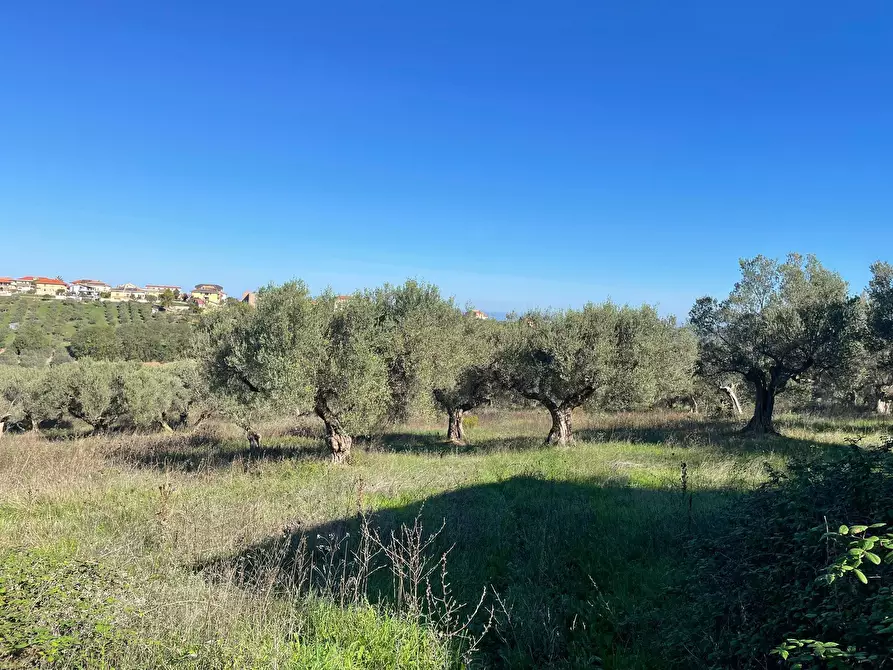 Immagine 15 di Casa indipendente in vendita  in contrada ranco 55 a Paglieta