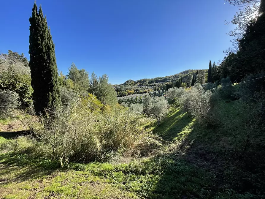 Immagine 23 di Villa in vendita  in via san giusto a Livorno