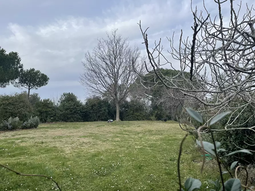 Immagine 5 di Rustico / casale in vendita  in Via della Sassetta a Castagneto Carducci