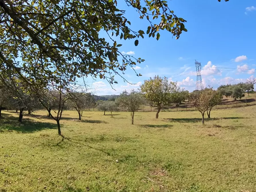 Immagine 26 di Villa in vendita  in Strada Comunale Campo Maggiore 10 a Rignano Flaminio