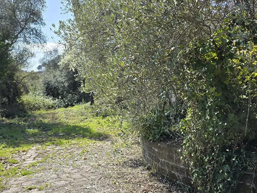 Immagine 33 di Rustico / casale in vendita  in Via Enrico Fermi 10 a Morlupo