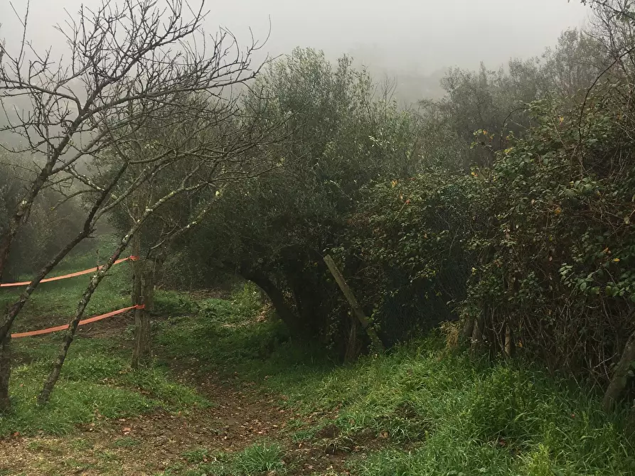 Immagine 4 di Terreno agricolo in vendita  in Via Monte Calcaro 51 a Sacrofano
