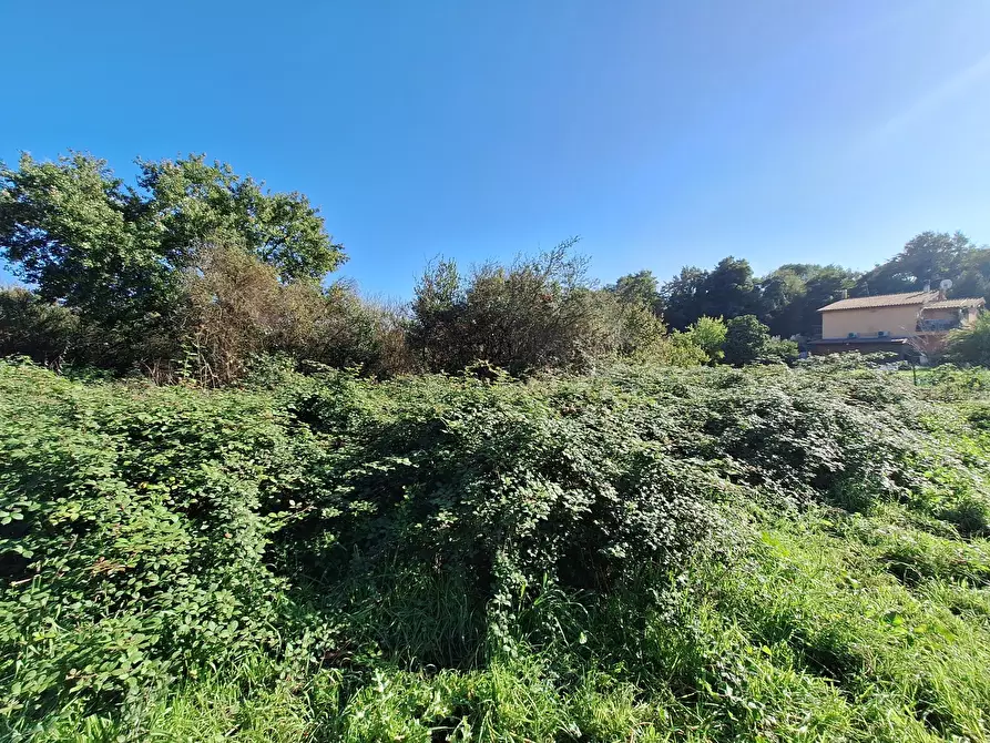 Immagine 4 di Terreno agricolo in vendita  in Via Monte delle Rose a Morlupo