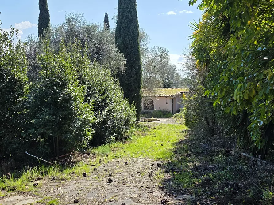 Immagine 1 di Terreno agricolo in vendita  in Via Enrico Fermi 13 a Morlupo