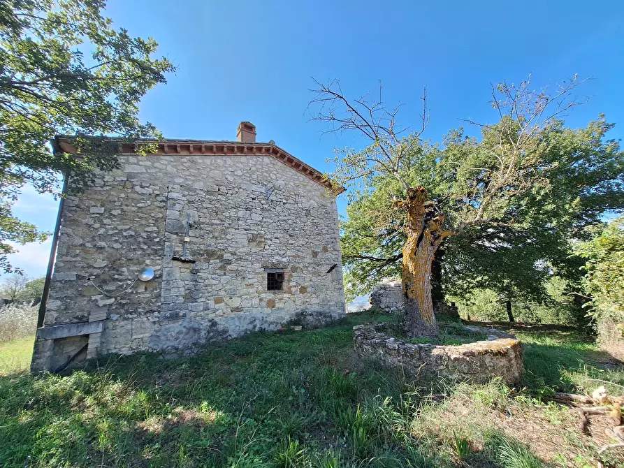Immagine 35 di Rustico / casale in vendita  in Vocabolo Pupiglian 1 a Guardea