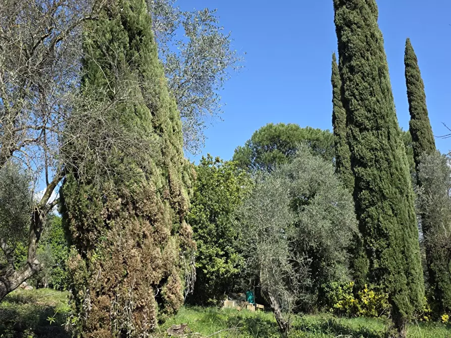 Immagine 25 di Rustico / casale in vendita  in Via Enrico Fermi 10 a Morlupo