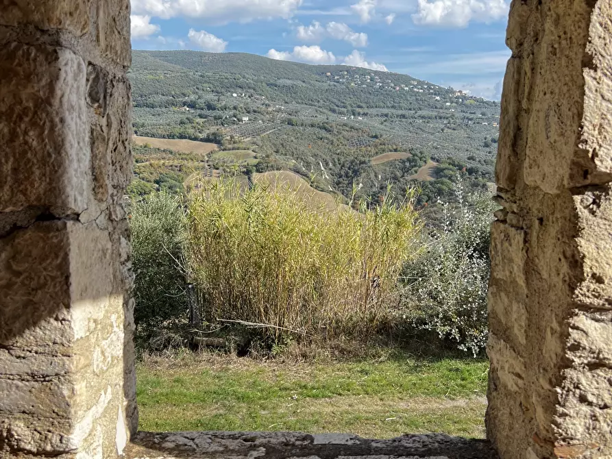Immagine 55 di Rustico / casale in vendita  in Vocabolo Pupiglian 1 a Guardea
