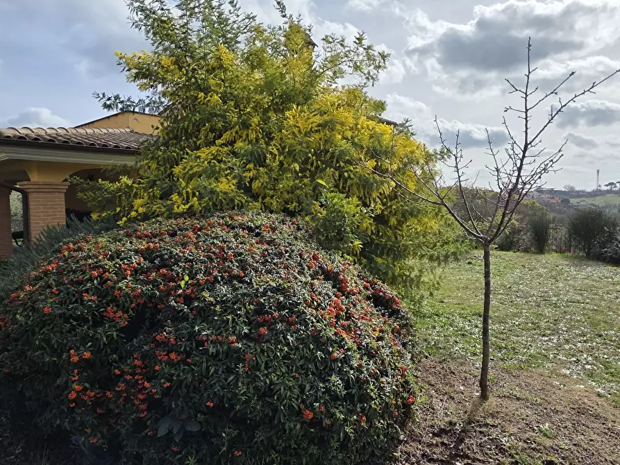 Immagine 66 di Villa in vendita  in Via Aldo Moro 889 a Morlupo