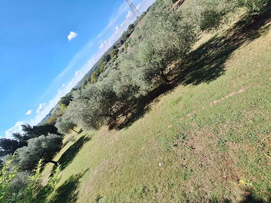 Immagine 43 di Villa in vendita  in Strada Comunale Campo Maggiore 10 a Rignano Flaminio